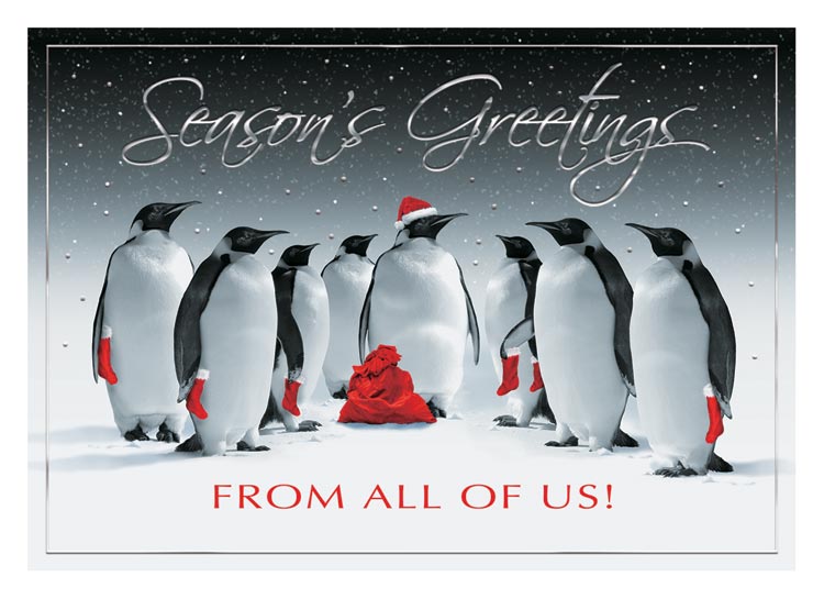 Holiday card customized with your name, verse and message and 8 Christmas-themed penguins.