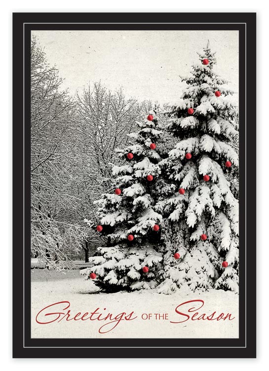 Custom printed holiday card with 2 snow-covered trees in the forest.
