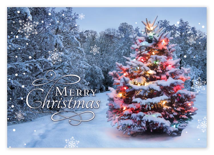 This beautiful Christmas card displays an enchanted and luminous Christmas tree surrounded by a sparkling forest.