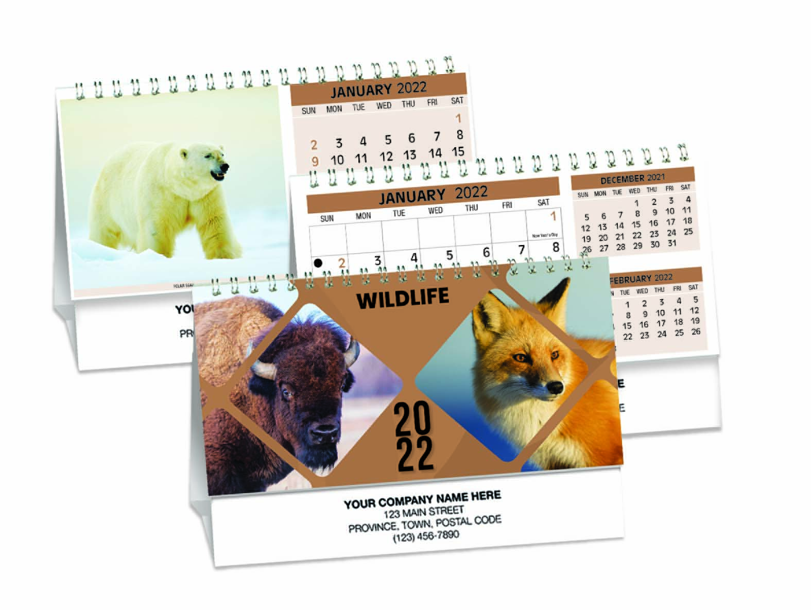 Wildlife themed desktop 2022 calendars with images of penguins, coyotes, raccoons, polar bears and owls.