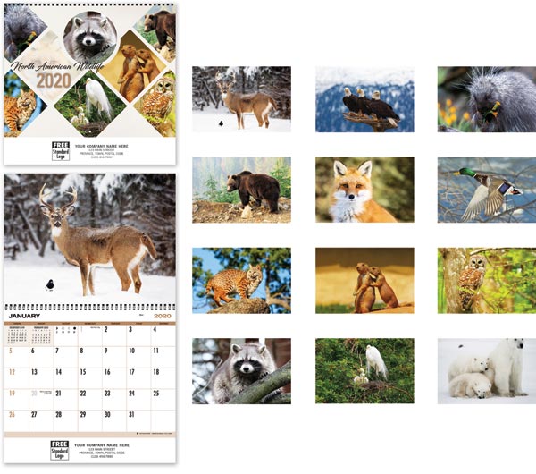 2020 American Wildlife Calendar