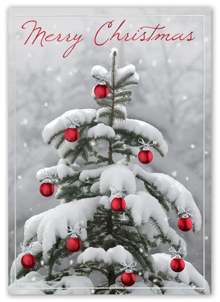 Evergreen branches bow gracefully to bright red baubles in the Snow Wonder Christmas card.