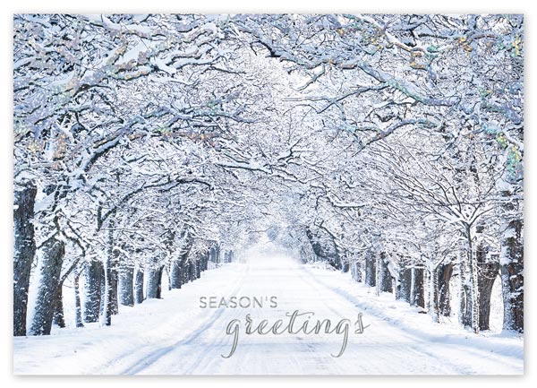 Long marches of snow-iced maples beckon you down a wintry road in the Crystal Lane holiday card.
