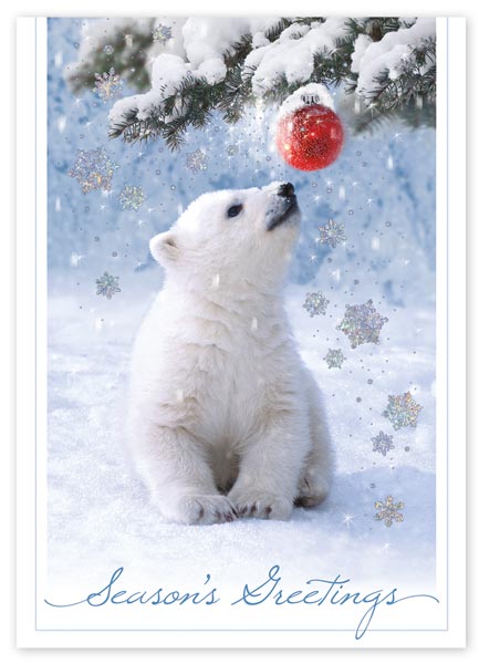A baby polar bear shares the spirit of the season in the Beary Amused holiday card.