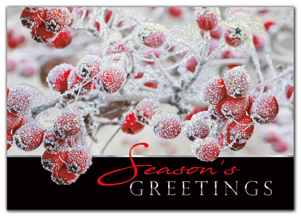 Freshly frosted berries spill exuberantly out of their own photograph in the Sugar Berries Holiday Card.