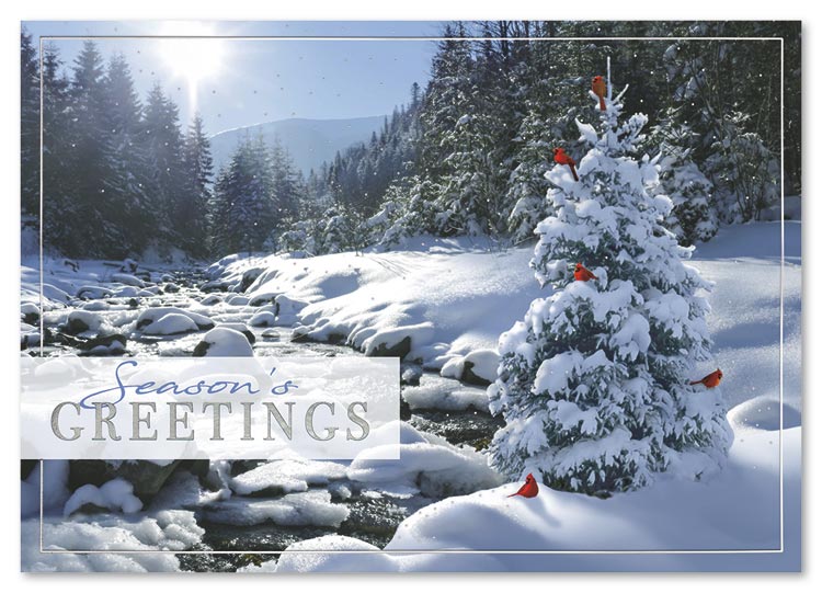Quiet and peaceful, the Sweet Seclusion Holiday Card showcases the beauty of Nature in winter.