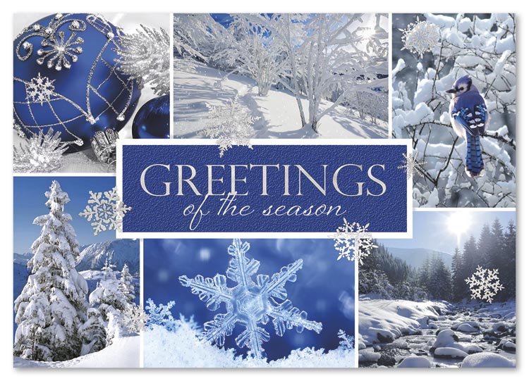 A gallery of magical winter moments adorns the Snow Beauty Holiday Card.