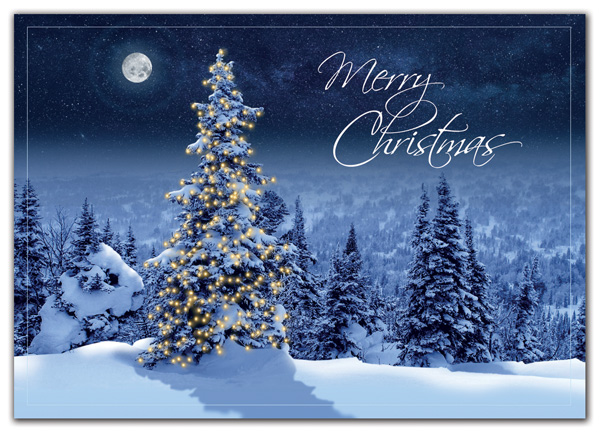 Customized Christmas cards with single snowy tree.