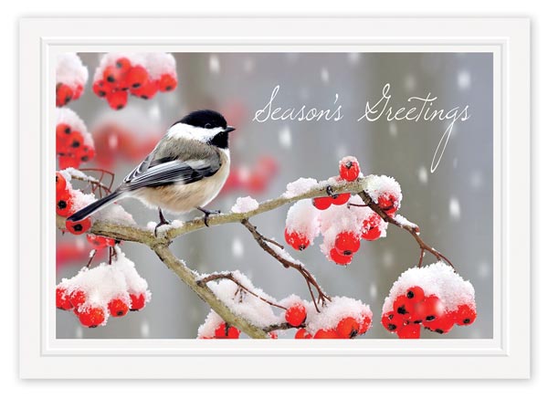 Tweet Greetings Holiday Cards