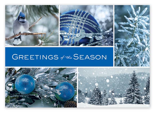 Icy Blue Wonder Holiday Cards