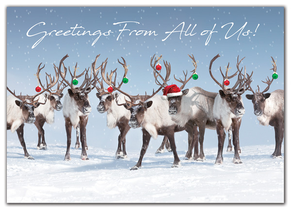 A herd of reindeer are ready to party their way through the holidays with the Antler Chandelier Holiday Card.