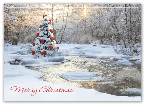 Send warm holiday greetings with this peacefully scenic and budget-friendly Tranquil Card.