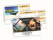 2022 Spiral Desk Calendar - Tropical