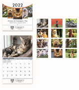 2022 Pet Wall Calendar